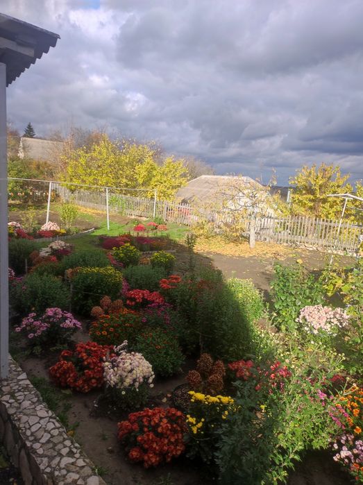 Продам дім. м. Ромни