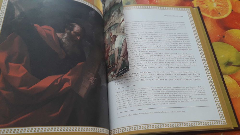 15 volumes da BÍBLIA SAGRADA