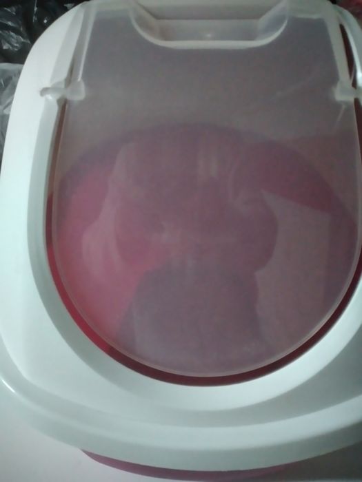 WC para gato pequeno branco e rosa