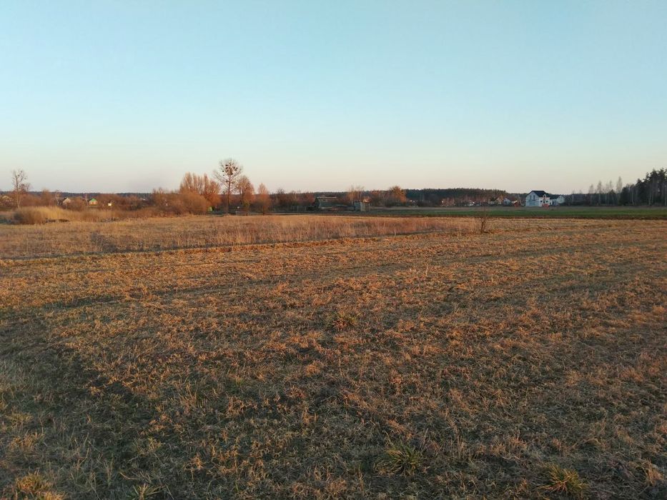 Земельна ділянка під забудову, с. Вишпіль