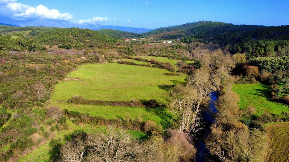 Terreno junto a Ribeira com água cristalina