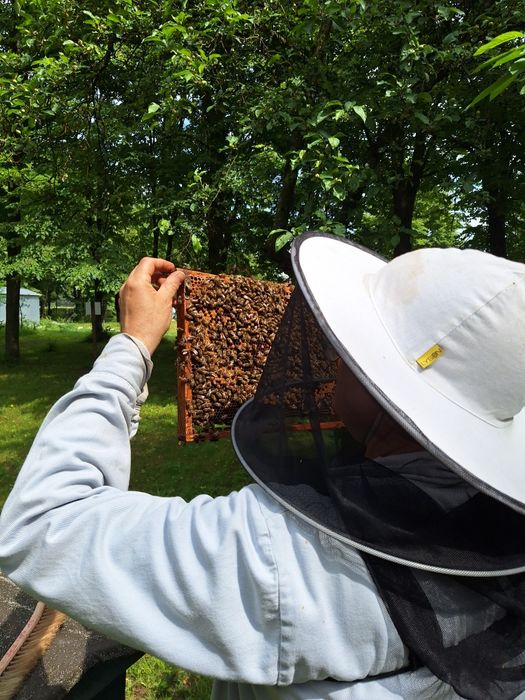 Miód o smaku natury z lasu
