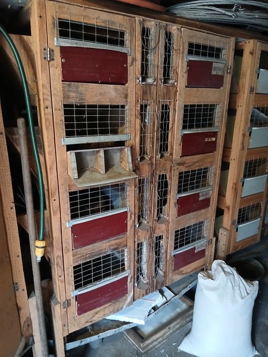 Клітка для кролів