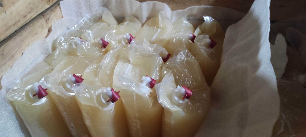 Sok tłoczony 5L – jabłko, gruszka, mięta różne smaki + GRATIS