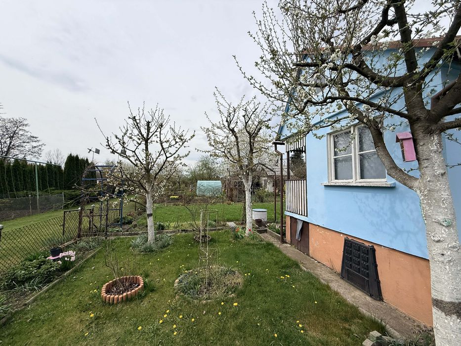 Działka rekreacyjna ogrodowa ROD „Niezapominajka” 3 ary, 300m2