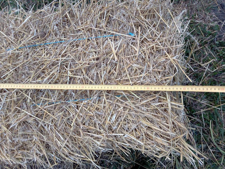 Продам солому різного виду