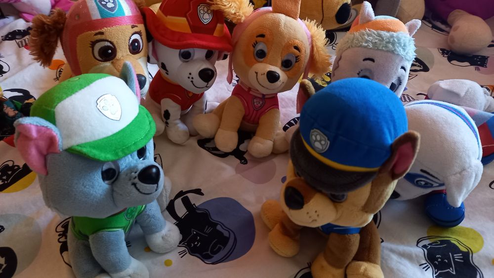 Psi patrol Marshall, sky,Everest, Liberty, super pies,Rocky, Cheis