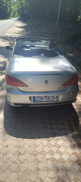 Peugeot 307cc Zadbany