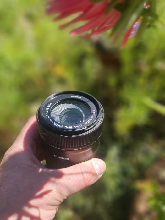 Canon 55-250 is STM macro
