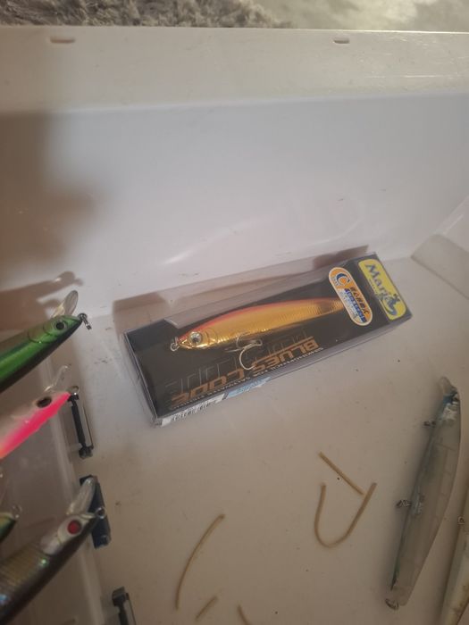 Lote amostras spinning