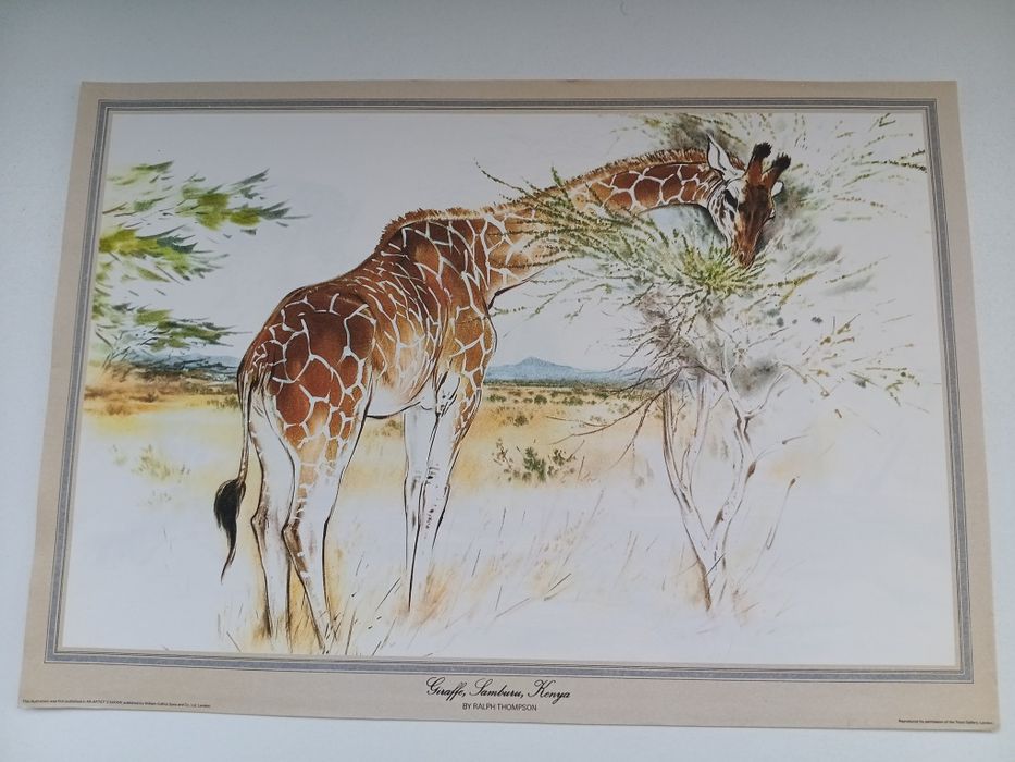 Reproduções de Ralph Thompson – Safari África