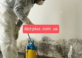 Уничтожение плесени • Генеральная уборка • Убрать запах • Химчистка