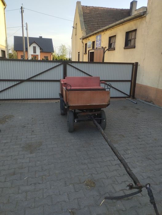 Para kucy wraz z bryczką i puszorkami