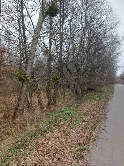 земельна ділянка 1,0675 га, с. Рижани під забудову