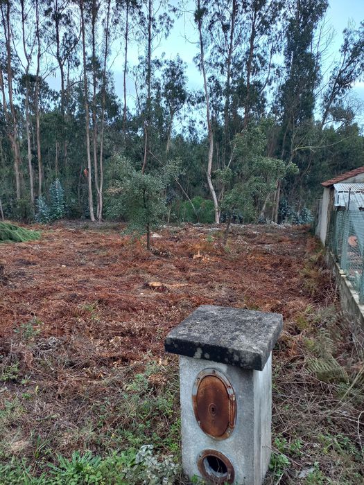 Terreno para construção 1205m2