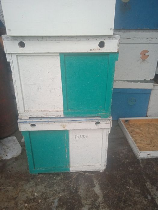 Продам 50 вуликів з рамками