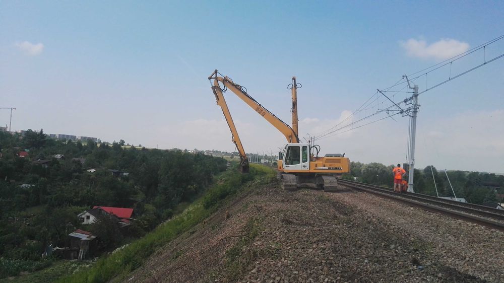 kopanie stawów, koparka long wynajem,usługi,skarpowanie , cała Polska