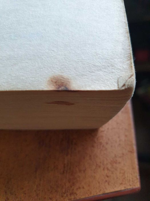 Nekroskop Tom 5 Roznosiciel Brian Lumley