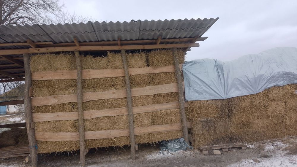 Продам тюки соломи