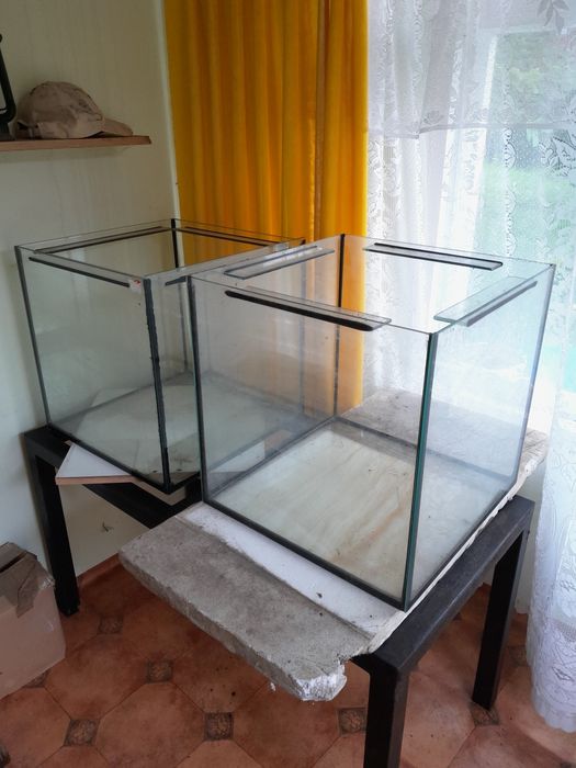 Akwaria typu kostka 50x50 125L