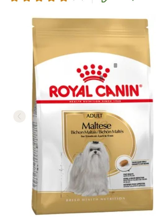 Karma Royal Canon maltańczyk