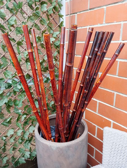 Kije bambusowe Almi Decor