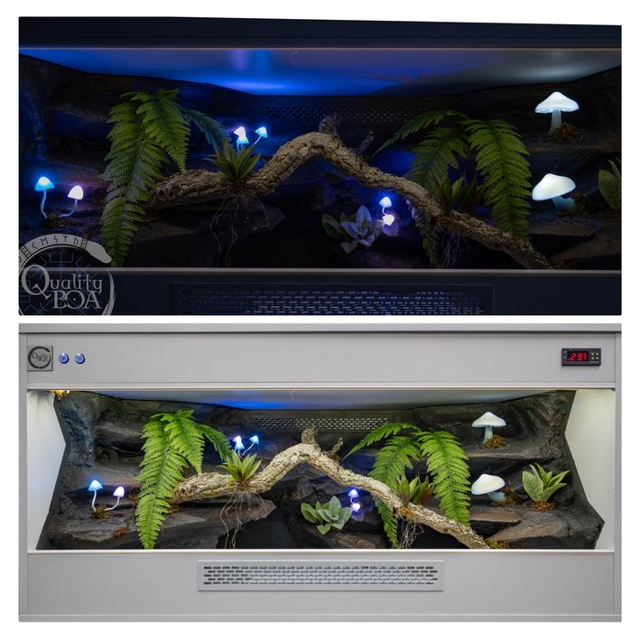 Terrarium dla węża