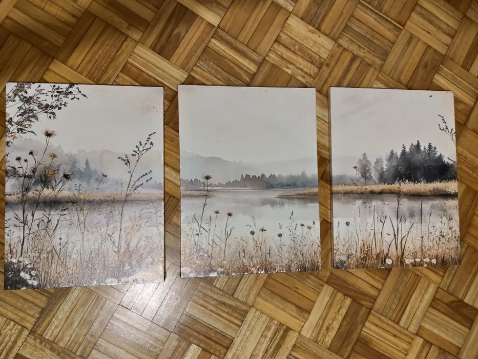 Conjunto de Quadros em Tela Natureza 30x40