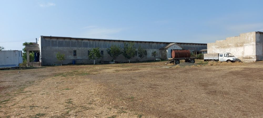 Продам ферму хозяйство ранчо