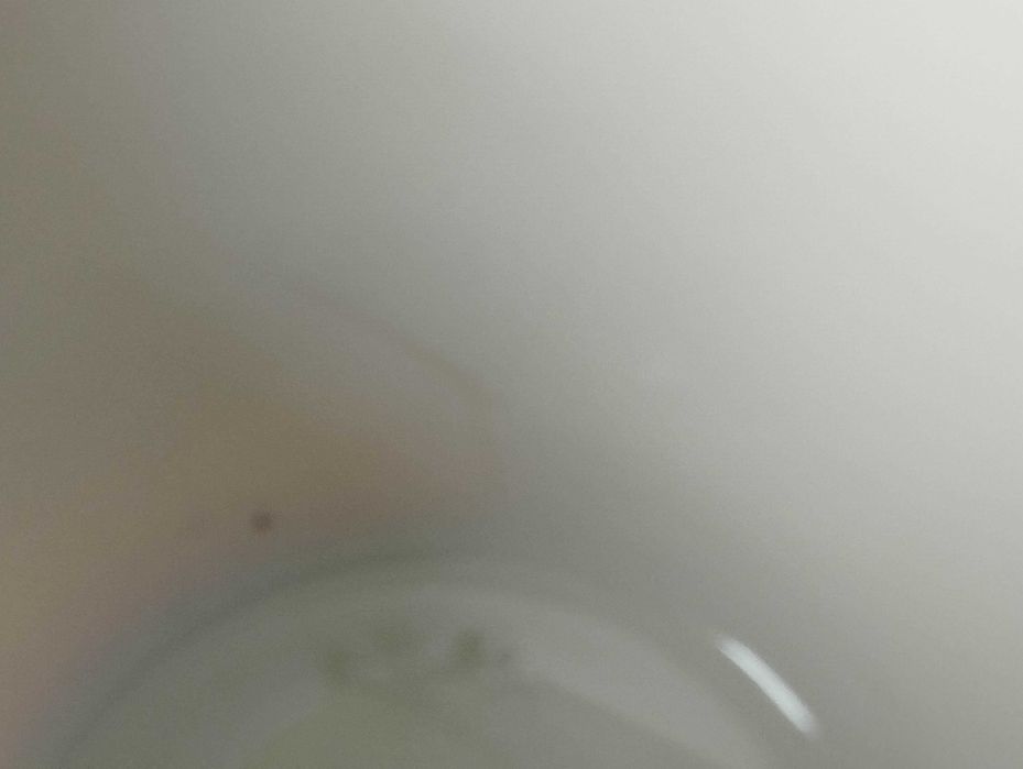 Чашка фарфоровая. Городница. Довбыш. Полонное.