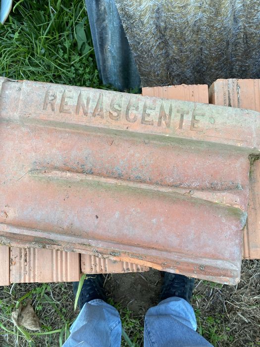 Telha Renascente