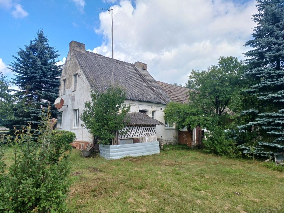 Dom w lesie, siedlisko ,dzialka