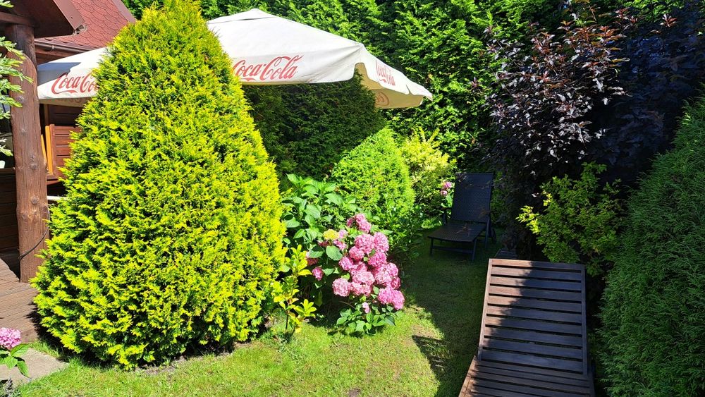 Domki nad morzem z ogródkami 600m od plaży w Ostrowie kolo Karwi