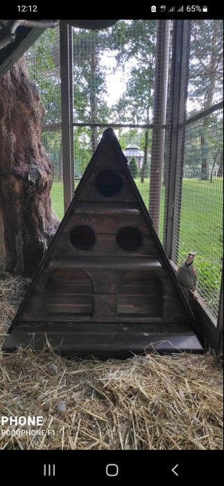 Будиночок для мандаринок, білок, птахів.