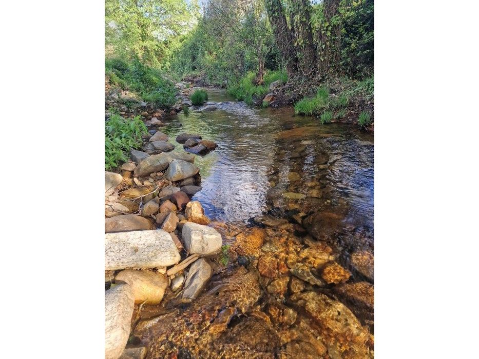 Quinta - Reguengo e São Julião - Um refúgio entre o campo e a serra!