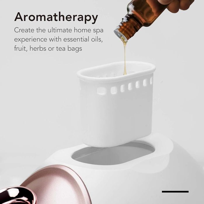 Fancii nano-jonowy parowiec do twarzy