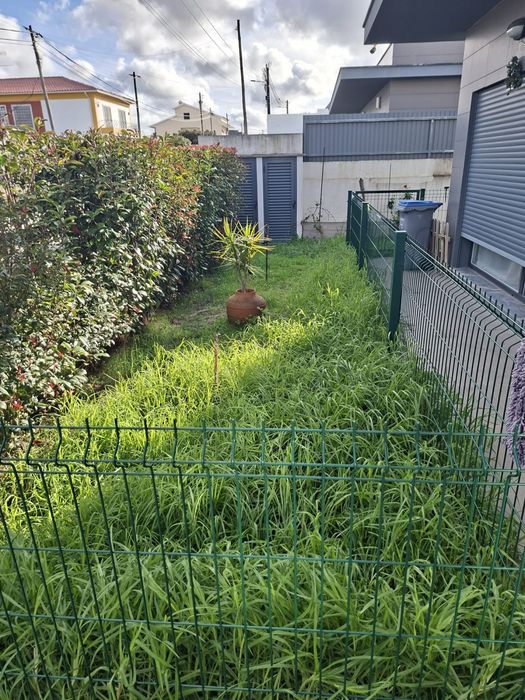 Limpeza de terrenos e jardins e póda de sebs . Orçamento gratuito