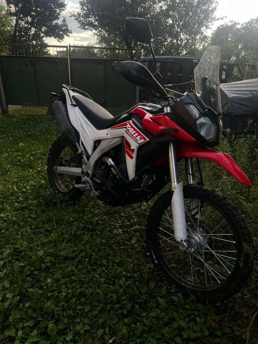 Продам Лонсін Ralli