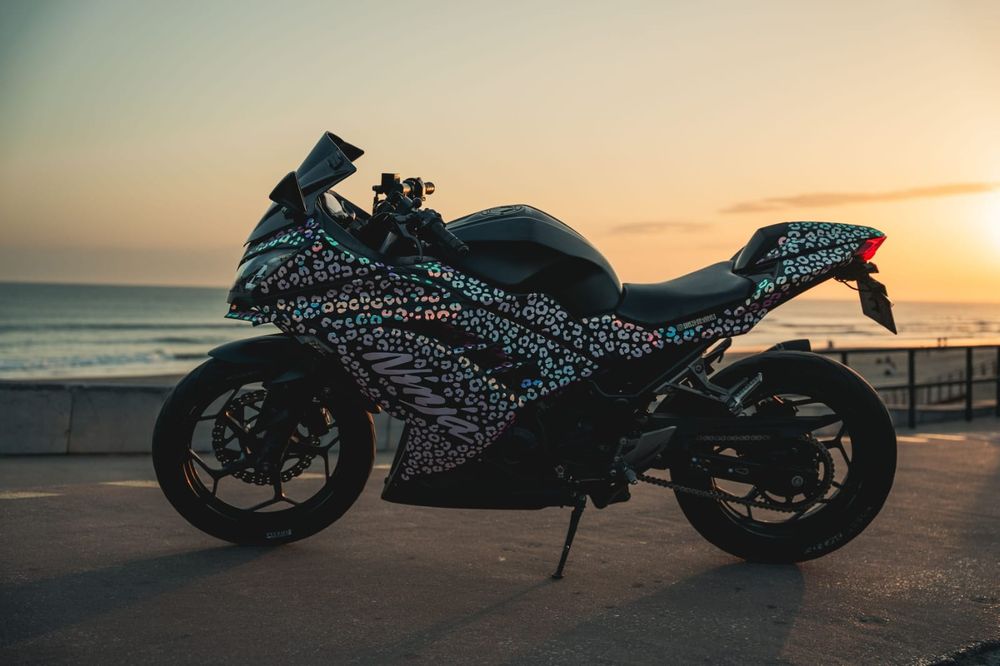 Kawasaki Ninja 300 (2017) | Design Único  | Revisões em dia