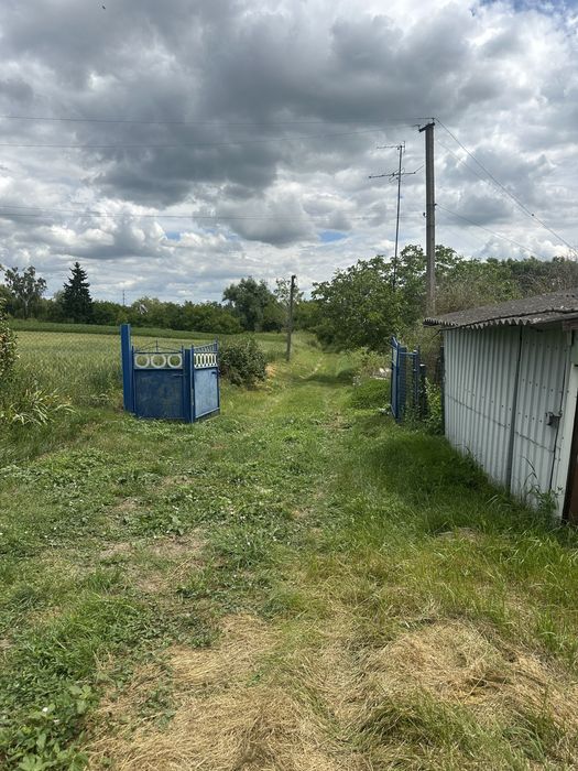 Продам будинок в Малій Вільшанці
