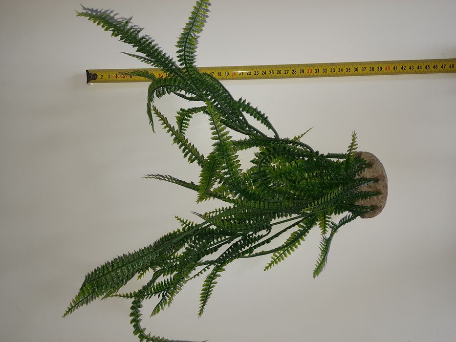 Paprotka roślina dekoracja do akwarium terrarium