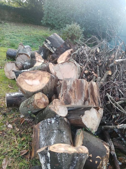 Lenha seca para fogões