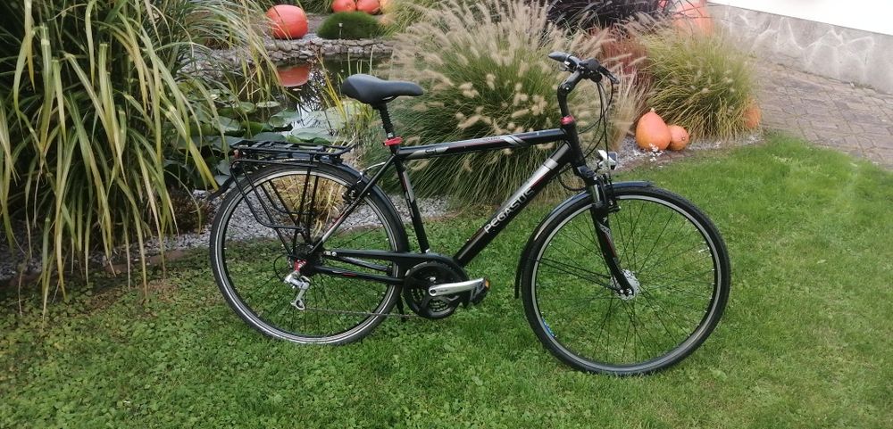 Rower Pegasus 28cali