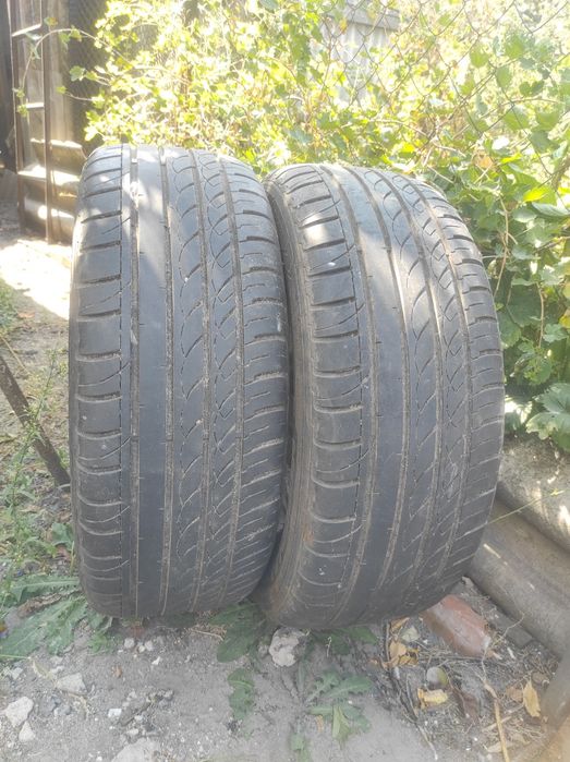 Автошини Imperial Radial F105 225/55 R16
