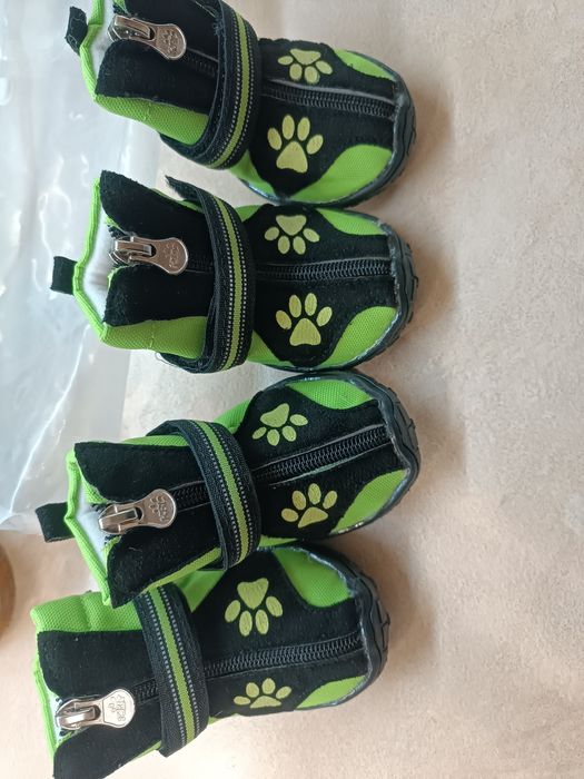 Обувь для собаки.