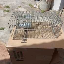 Armadilha para captura ratos, ratazanas e outros roedores.