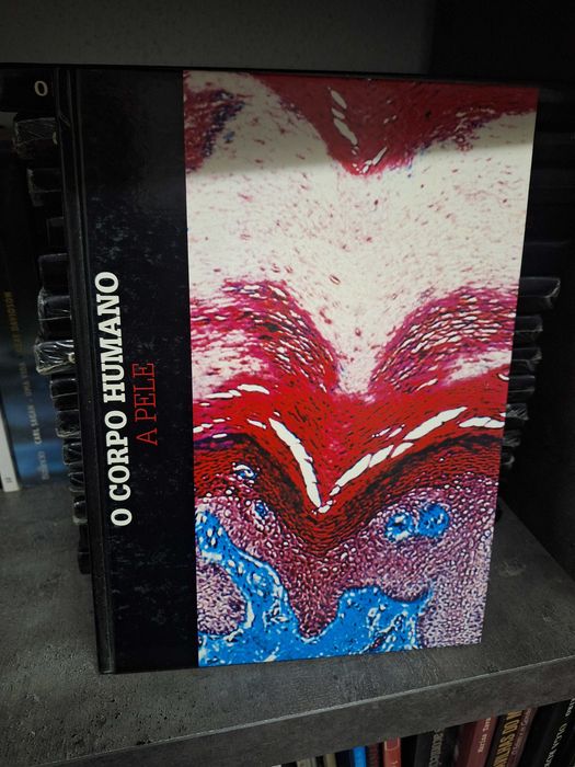 Coleção Livros "O Corpo Humano"
