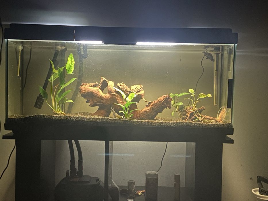Vendo aquario ou troco