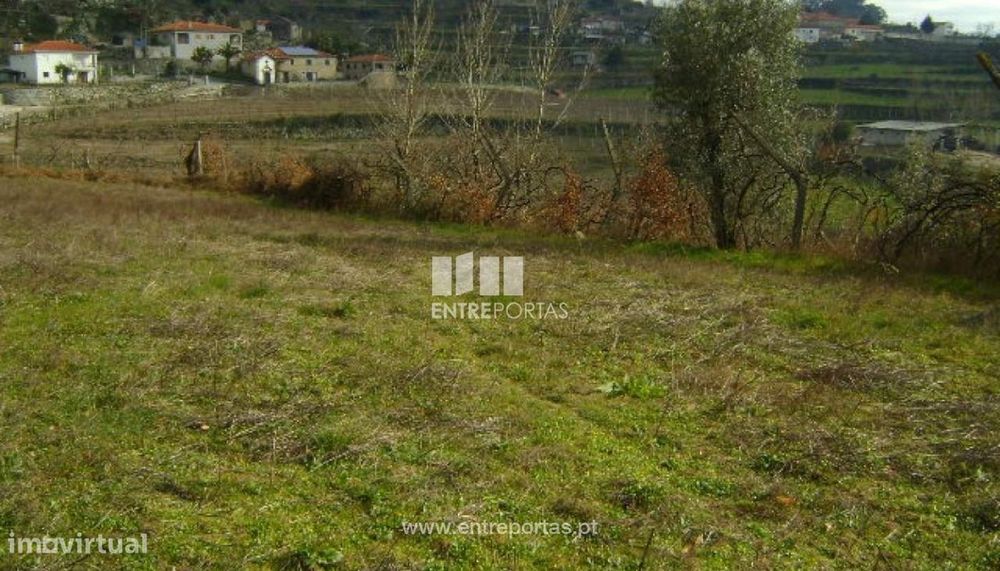 Venda Terreno, Santa Leocádia, Baião — Baião (Santa Leocádia) E Mesquinhata, Porto