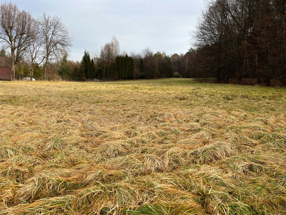 Działka 57 arów w spokojniej okolicy w Regulicach blisko Grojca